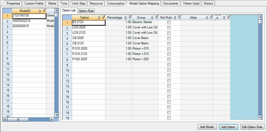 Model Option Mapping Tab of the Activity Editor