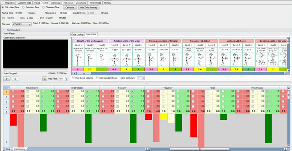 Ergonomics Tab Showing Scoring